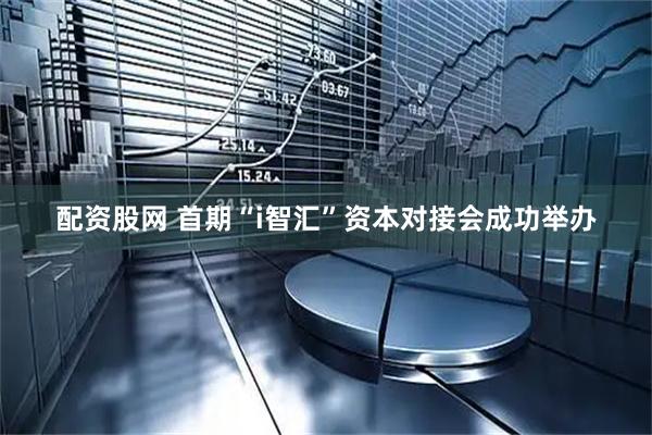 配资股网 首期“i智汇”资本对接会成功举办