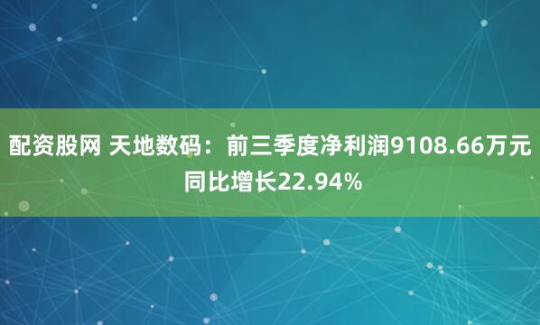 配资股网 天地数码：前三季度净利润9108.66万元 同比增长22.94%