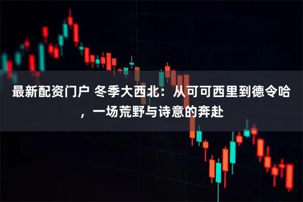 最新配资门户 冬季大西北：从可可西里到德令哈，一场荒野与诗意的奔赴