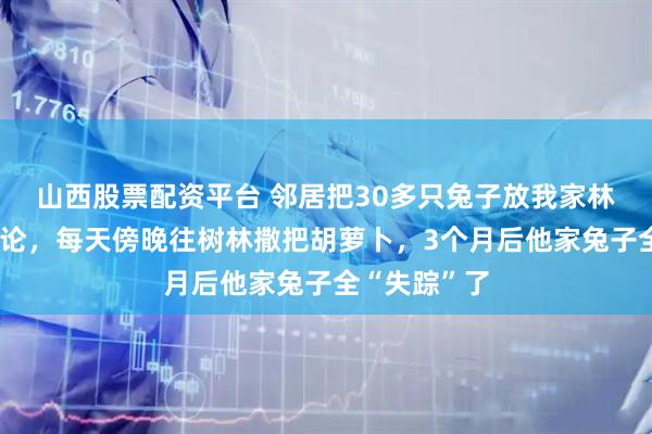山西股票配资平台 邻居把30多只兔子放我家林地，我没理论，每天傍晚往树林撒把胡萝卜，3个月后他家兔子全“失踪”了