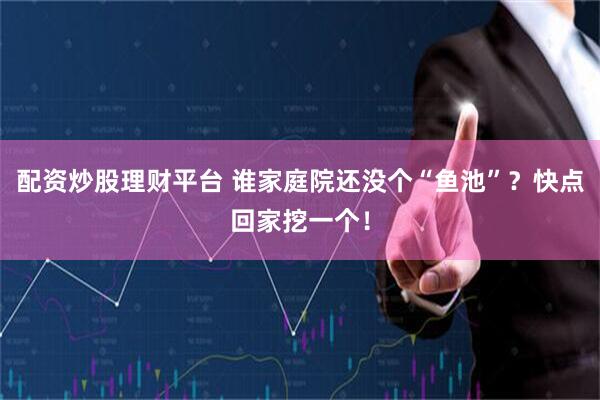 配资炒股理财平台 谁家庭院还没个“鱼池”？快点回家挖一个！