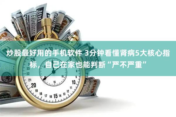 炒股最好用的手机软件 3分钟看懂肾病5大核心指标，自己在家也能判断“严不严重”