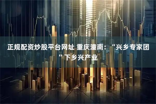 正规配资炒股平台网址 重庆潼南：“兴乡专家团”下乡兴产业